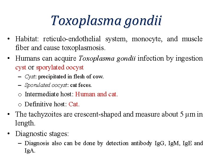 Toxoplasma gondii • Habitat: reticulo-endothelial system, monocyte, and muscle fiber and cause toxoplasmosis. •