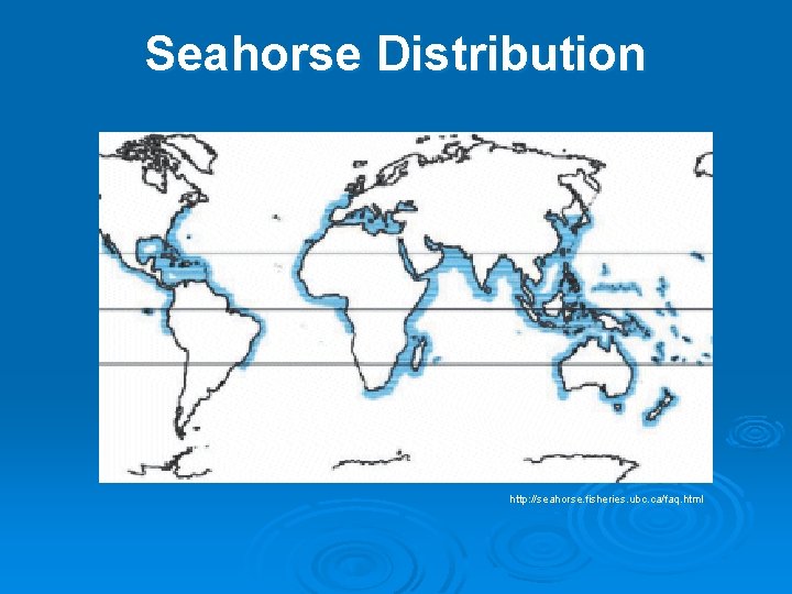 Seahorse Distribution http: //seahorse. fisheries. ubc. ca/faq. html 