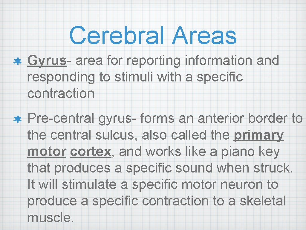 Cerebral Areas Gyrus- area for reporting information and responding to stimuli with a specific