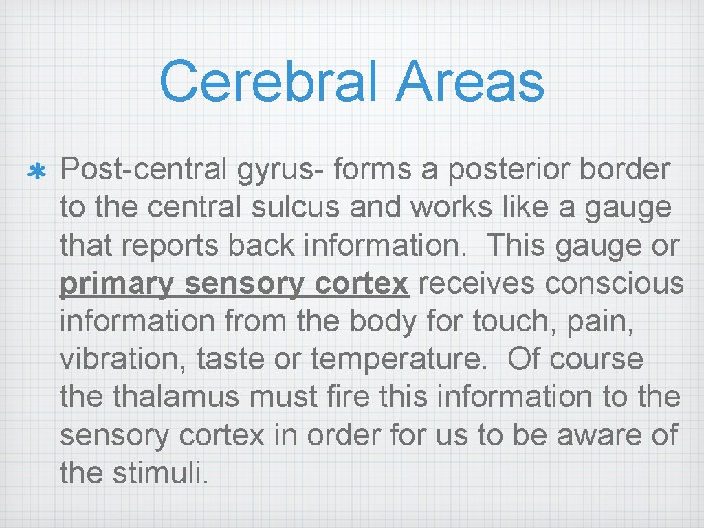 Cerebral Areas Post-central gyrus- forms a posterior border to the central sulcus and works