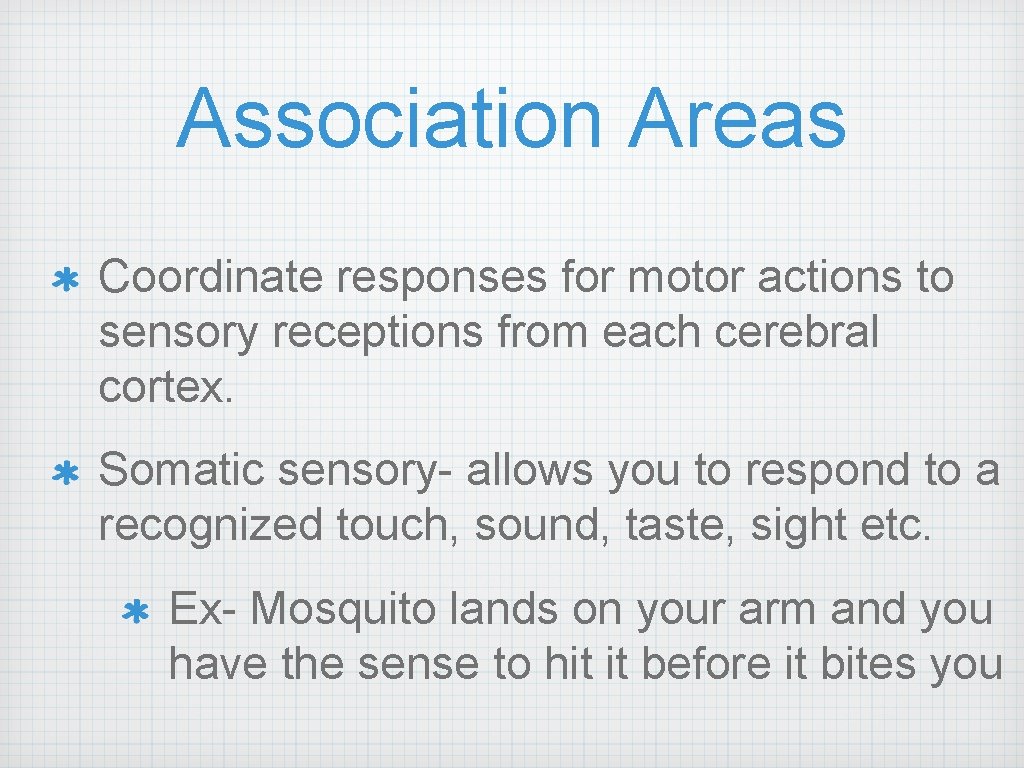 Association Areas Coordinate responses for motor actions to sensory receptions from each cerebral cortex.
