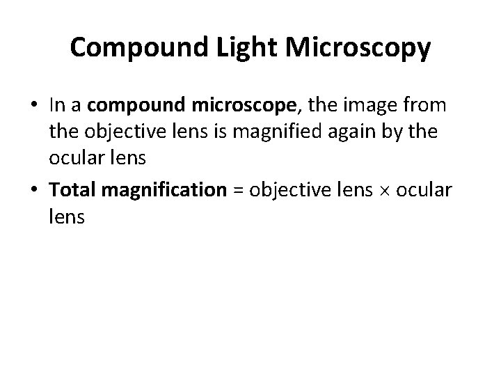 Compound Light Microscopy • In a compound microscope, the image from the objective lens