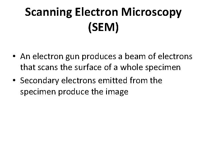 Scanning Electron Microscopy (SEM) • An electron gun produces a beam of electrons that