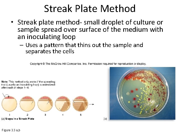 Streak Plate Method • Streak plate method- small droplet of culture or sample spread