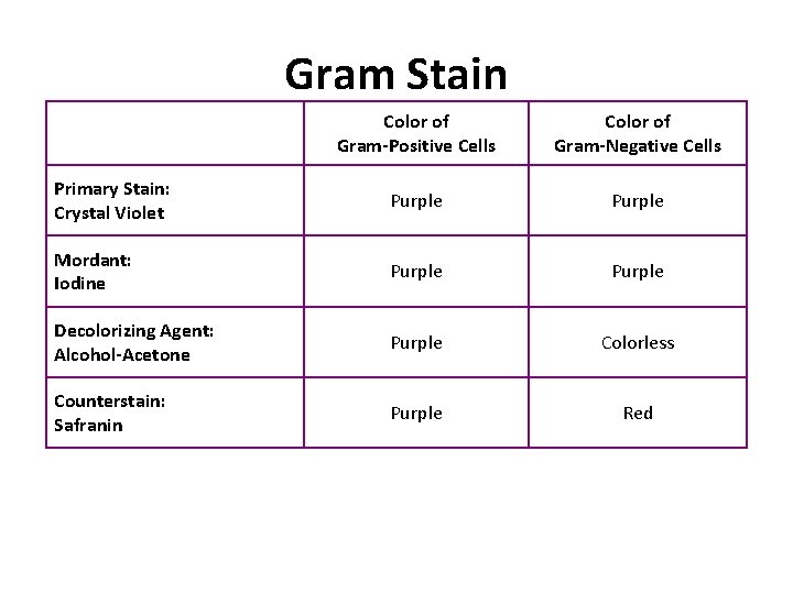 Gram Stain Color of Gram-Positive Cells Color of Gram-Negative Cells Primary Stain: Crystal Violet