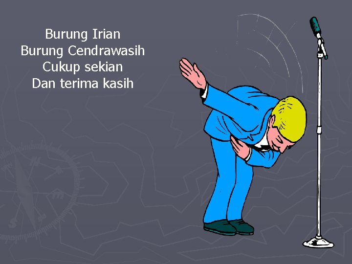 Burung Irian Burung Cendrawasih Cukup sekian Dan terima kasih 