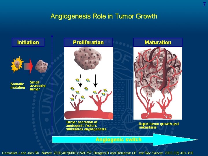 7 Angiogenesis Role in Tumor Growth Initiation Somatic mutation Proliferation Maturation Small avascular tumor