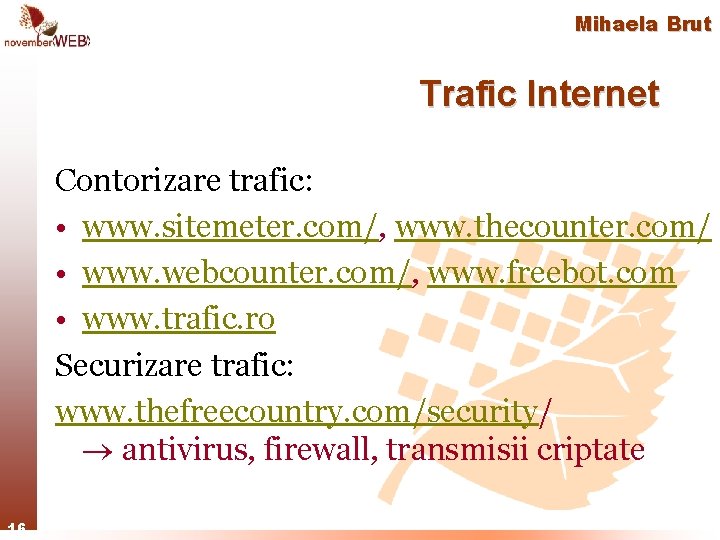 Mihaela Brut Trafic Internet Contorizare trafic: • www. sitemeter. com/, www. thecounter. com/ •