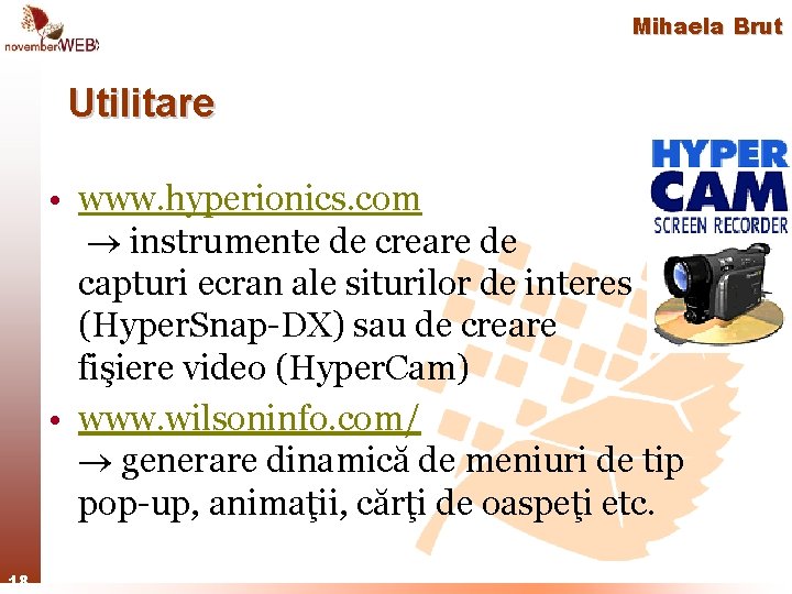 Mihaela Brut Utilitare • www. hyperionics. com instrumente de creare de capturi ecran ale