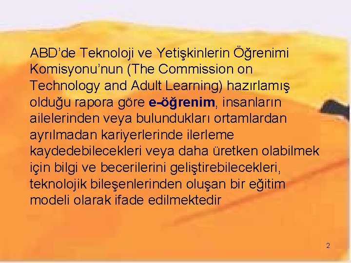 ABD’de Teknoloji ve Yetişkinlerin Öğrenimi Komisyonu’nun (The Commission on Technology and Adult Learning) hazırlamış