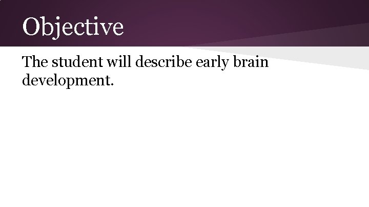 Objective The student will describe early brain development. 