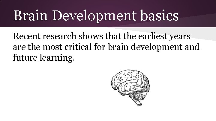 Brain Development basics Recent research shows that the earliest years are the most critical