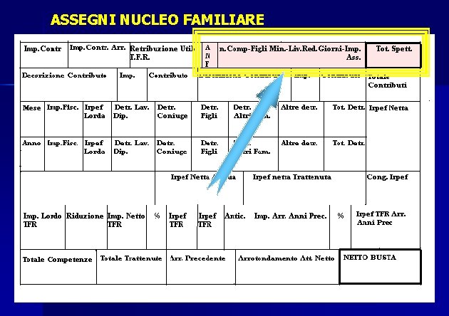 ASSEGNI NUCLEO FAMILIARE 