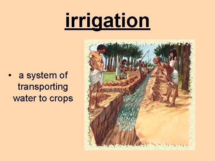 irrigation • a system of transporting water to crops 