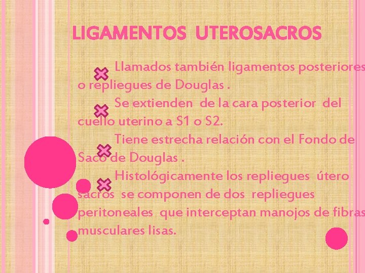 LIGAMENTOS UTEROSACROS Llamados también ligamentos posteriores o repliegues de Douglas. Se extienden de la