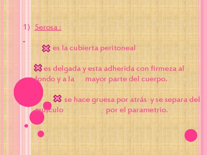 1) Serosa : es la cubierta peritoneal es delgada y esta adherida con firmeza