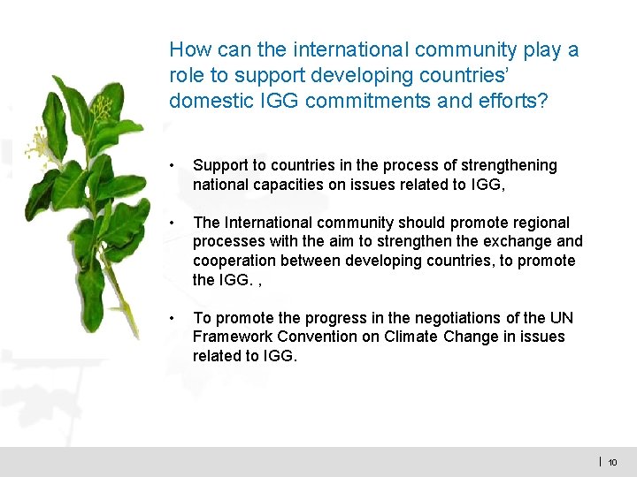 How can the international community play a role to support developing countries’ domestic IGG