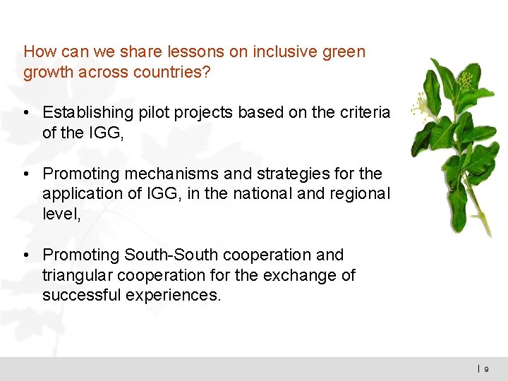 How can we share lessons on inclusive green growth across countries? • Establishing pilot