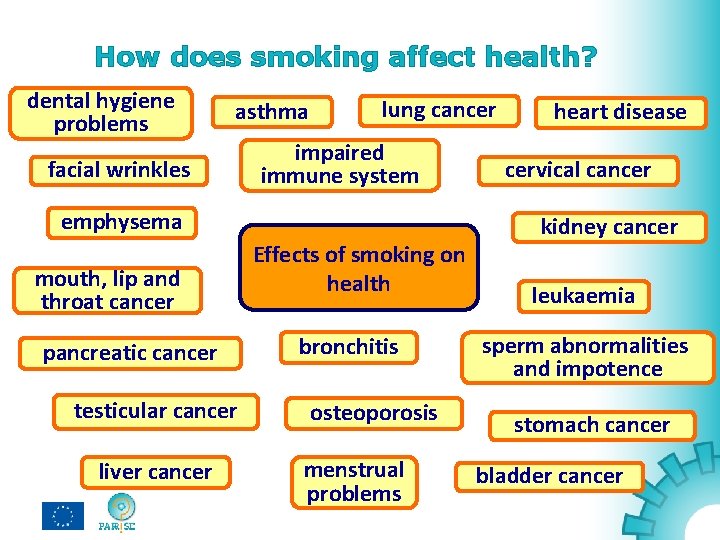 How does smoking affect health? dental hygiene problems asthma facial wrinkles lung cancer impaired