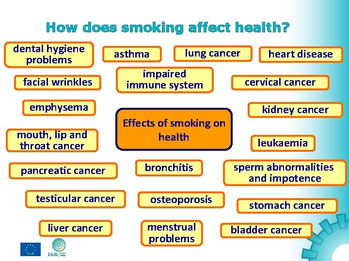 How does smoking affect health? dental hygiene problems asthma facial wrinkles lung cancer impaired