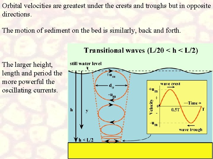 Orbital velocities are greatest under the crests and troughs but in opposite directions. The