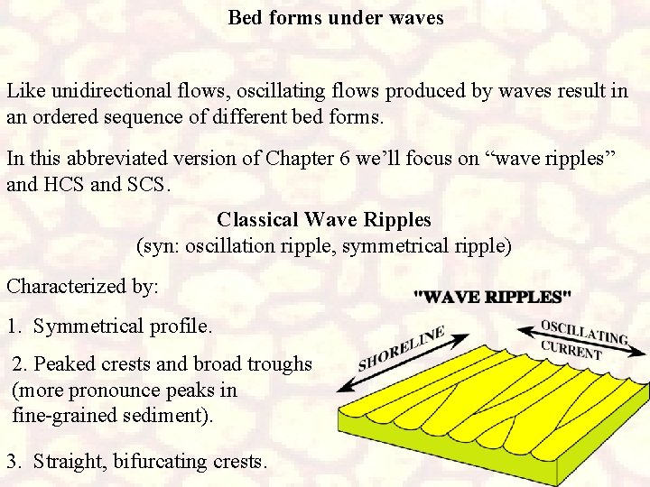Bed forms under waves Like unidirectional flows, oscillating flows produced by waves result in