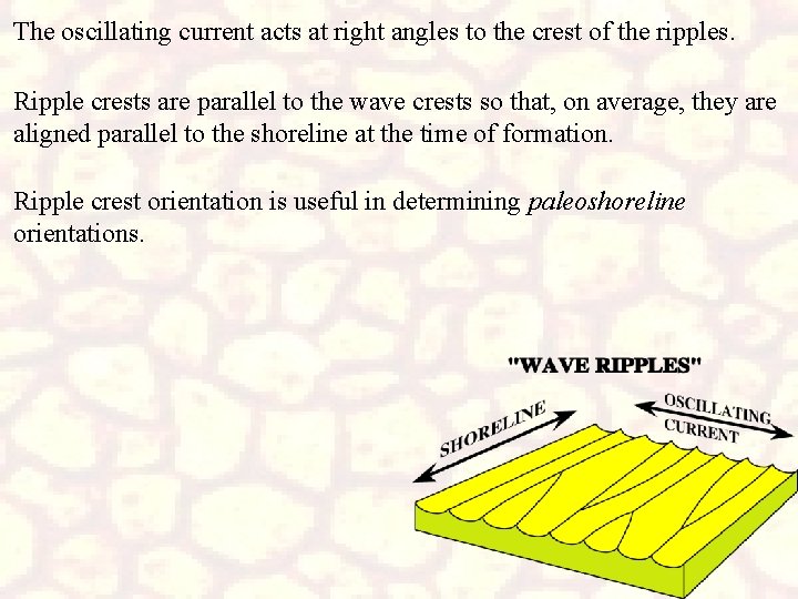The oscillating current acts at right angles to the crest of the ripples. Ripple