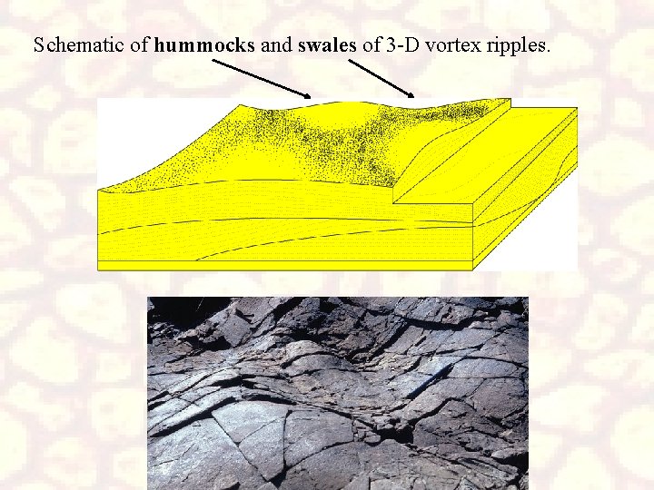 Schematic of hummocks and swales of 3 -D vortex ripples. 