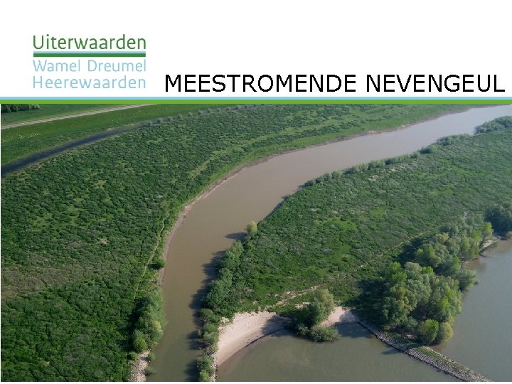 MEESTROMENDE NEVENGEUL 