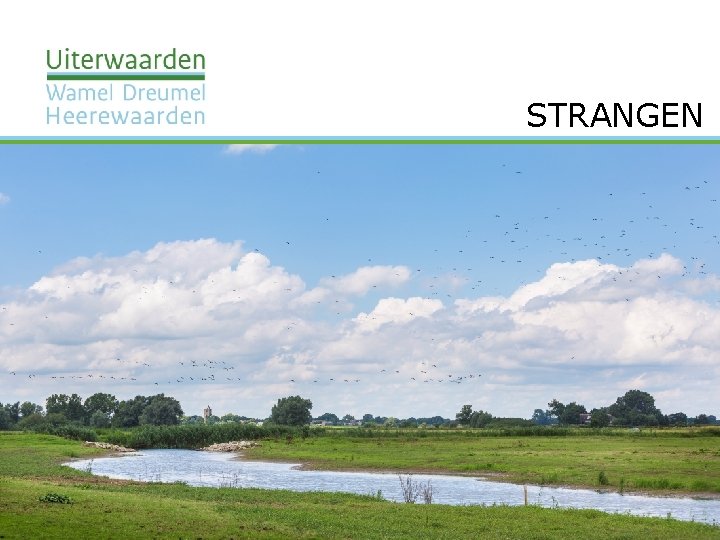 STRANGEN 