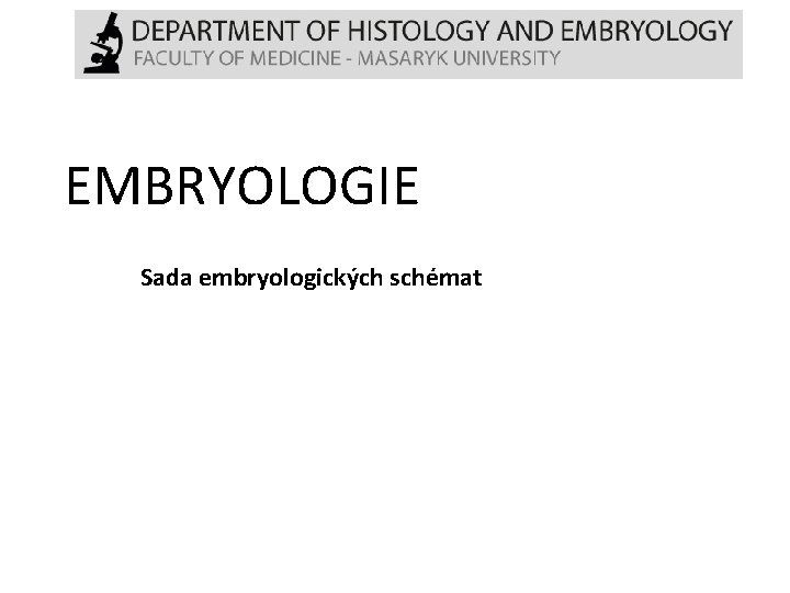 EMBRYOLOGIE Sada embryologických schémat 