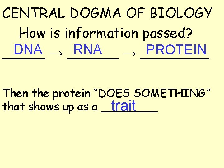 CENTRAL DOGMA OF BIOLOGY How is information passed? DNA → ______ RNA PROTEIN _____