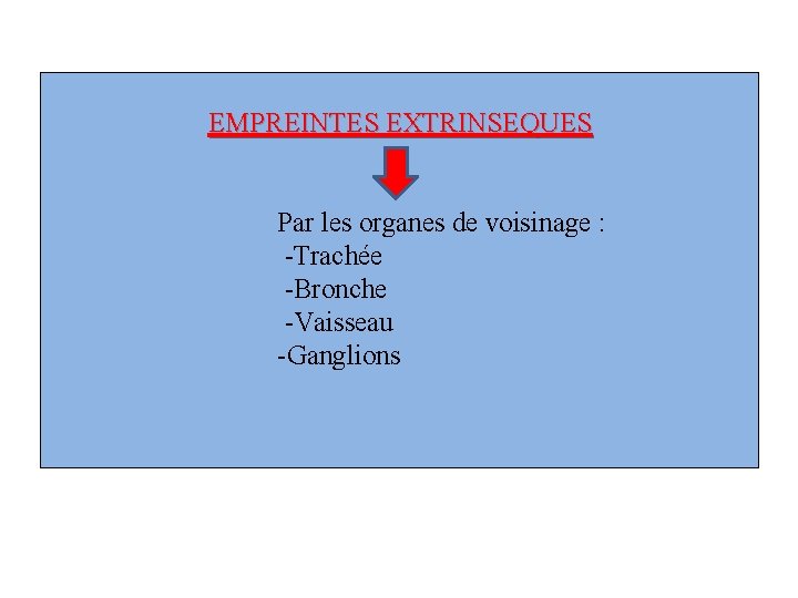 EMPREINTES EXTRINSEQUES Par les organes de voisinage : -Trachée -Bronche -Vaisseau -Ganglions 