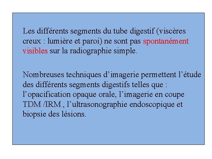 Les différents segments du tube digestif (viscères creux : lumière et paroi) ne sont