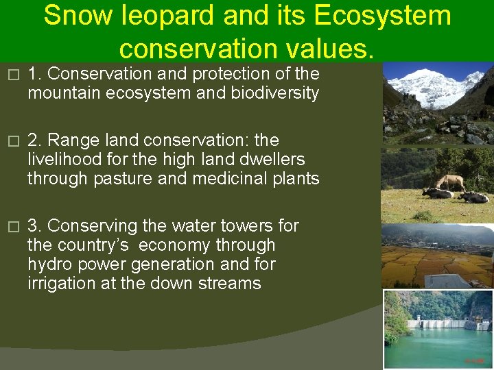 Snow leopard and its Ecosystem conservation values. � 1. Conservation and protection of the