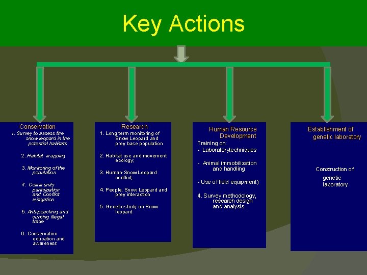 Key Actions Conservation 1. Survey to assess the snow leopard in the potential habitats