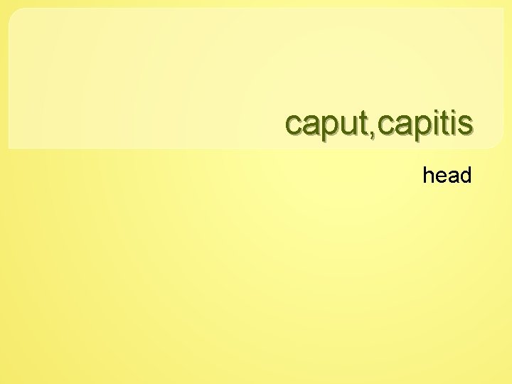 caput, capitis head 