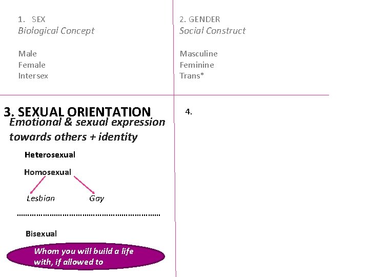 1. SEX 2. GENDER Male Female Intersex Masculine Feminine Trans* Biological Concept 3. SEXUAL