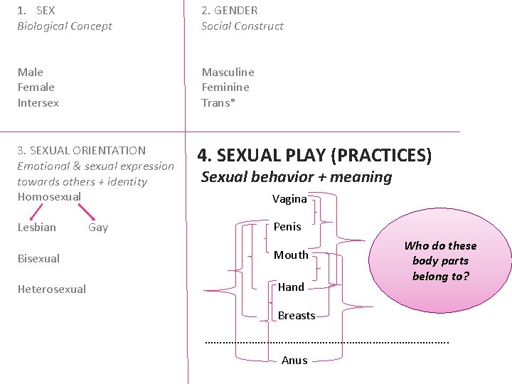 1. SEX Biological Concept 2. GENDER Social Construct Male Female Intersex Masculine Feminine Trans*