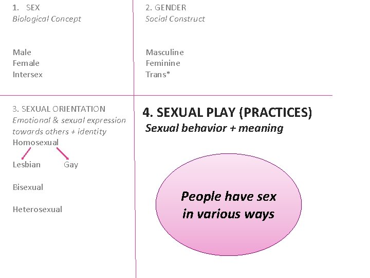 1. SEX Biological Concept 2. GENDER Social Construct Male Female Intersex Masculine Feminine Trans*