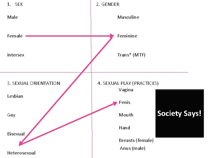 1. SEX 2. GENDER Male Masculine Female Feminine Intersex Trans* (MTF) 3. SEXUAL ORIENTATION