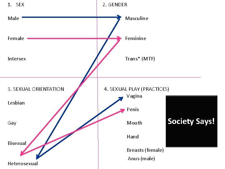 1. SEX 2. GENDER Male Masculine Female Feminine Intersex Trans* (MTF) 3. SEXUAL ORIENTATION