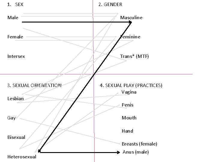 1. SEX 2. GENDER Male Masculine Female Feminine Intersex Trans* (MTF) 3. SEXUAL ORIENTATION