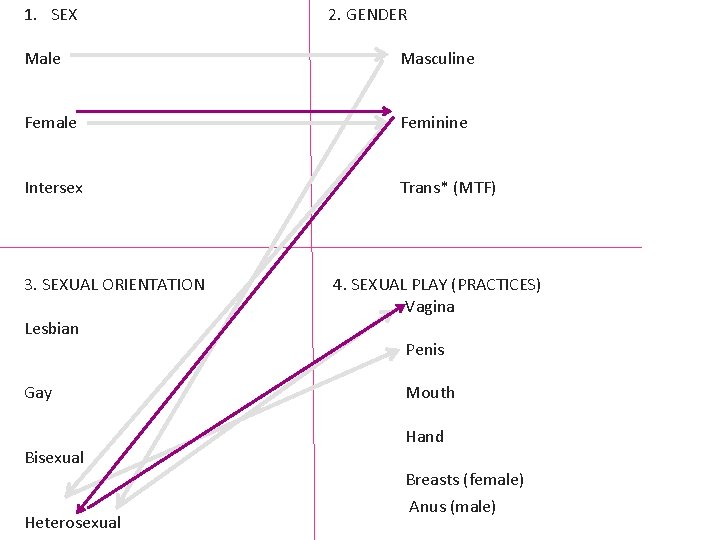 1. SEX 2. GENDER Male Masculine Female Feminine Intersex Trans* (MTF) 3. SEXUAL ORIENTATION