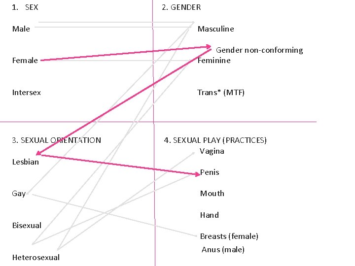 1. SEX 2. GENDER Male Masculine Female Gender non-conforming Feminine Intersex Trans* (MTF) 3.