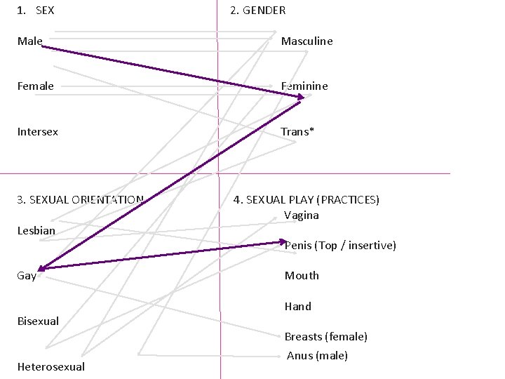 1. SEX 2. GENDER Male Masculine Female Feminine Intersex Trans* 3. SEXUAL ORIENTATION Lesbian