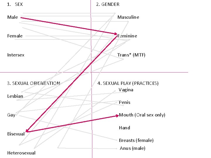1. SEX 2. GENDER Male Masculine Female Feminine Intersex Trans* (MTF) 3. SEXUAL ORIENTATION