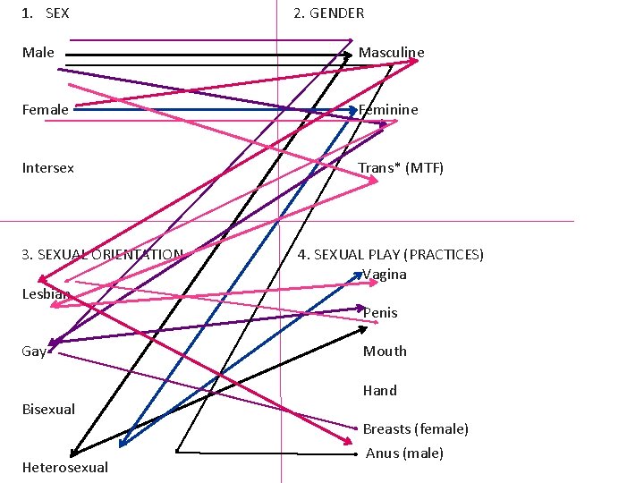 1. SEX 2. GENDER Male Masculine Female Feminine Intersex Trans* (MTF) 3. SEXUAL ORIENTATION