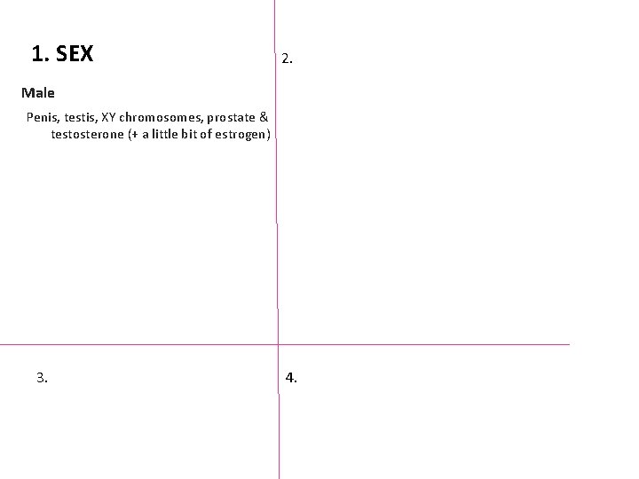 1. SEX 2. Male Penis, testis, XY chromosomes, prostate & testosterone (+ a little