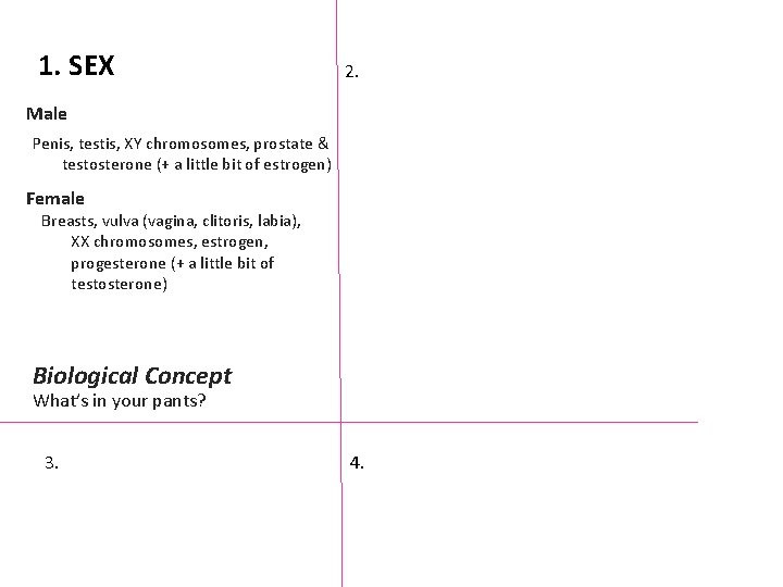 1. SEX 2. Male Penis, testis, XY chromosomes, prostate & testosterone (+ a little